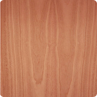 sapele